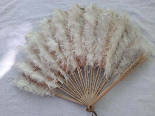 Rare eventail ancien plume - eventail,