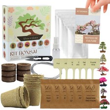 L&G | Kit Bonsai Intérieur