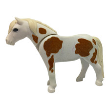 sympa poney  / cheval