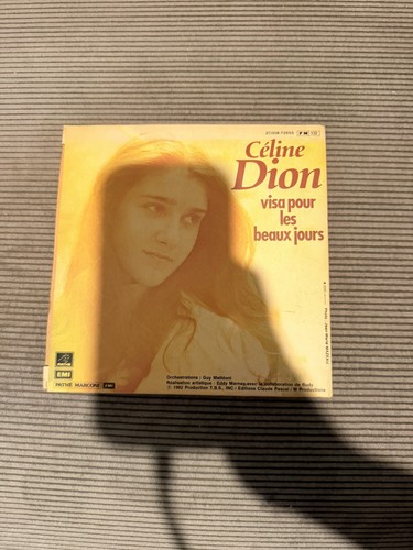 Vinyle tours céline dion - 45,