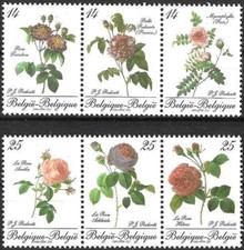 Timbres Flore Roses Belgique