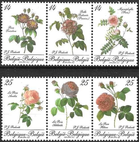 Timbres flore roses belgique - timbres,