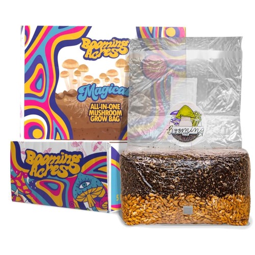 5lb mushroom grow - grow,
