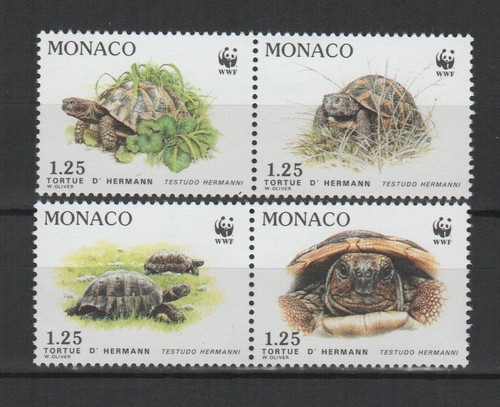 Monaco 1991 tortue hermann - 1991, d'hermann