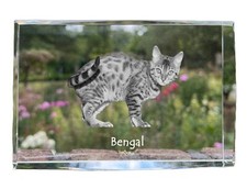 Cristal Bengal avec Une Image