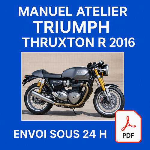 Manuel atelier triumph - manuel,