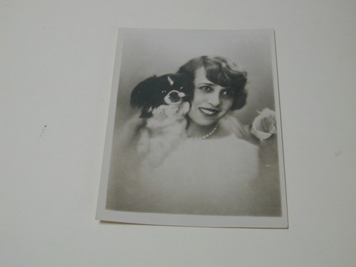 Mistinguett son chien - et,