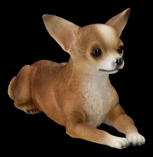 Chiens figurine chihuahua - chiens,