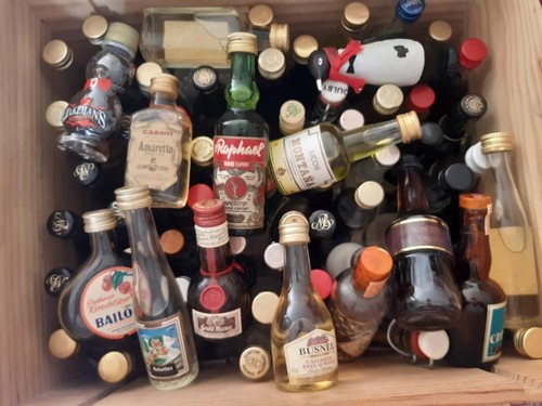 Lot mignonnettes alcool - x,