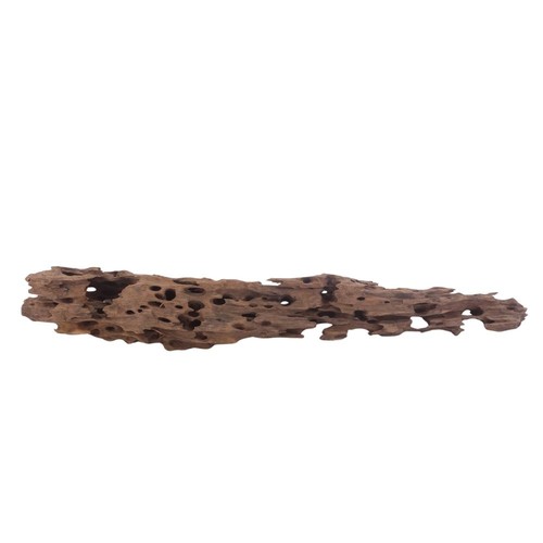 Honey peigne racine 3040 - xl,