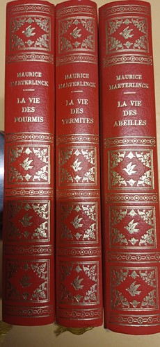 Lot volumes maeterlinck - 3,