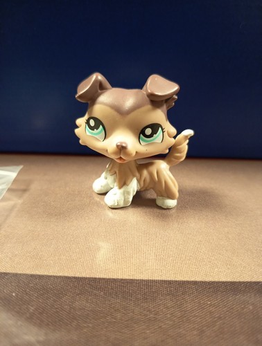 Authentic lps littlest petshop - authentic,