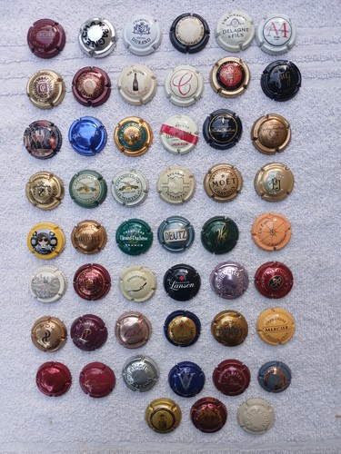 Capsule de champagne - capsule,