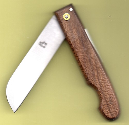 Galeam collector chene - , en