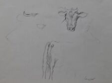 Lise Berset (1931-2020) (10) - fusain - bovins