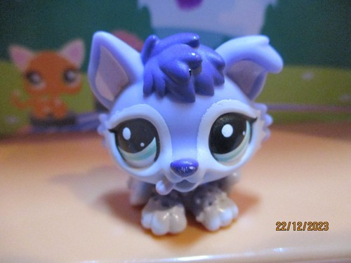 Petshop chiot husky 1810 - chiot, #1810