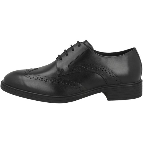 Geox thorian business - u,