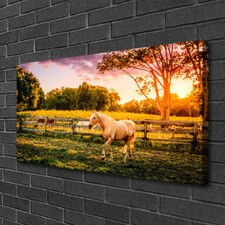 Photo sur toile Image Tableau