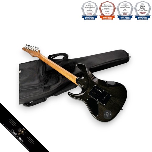 Guitare électrique ibanez - guitare,
