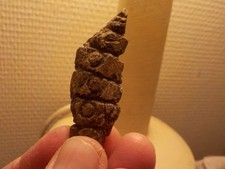 Paleolithic portable art Dordogne France PALEOLITHIQUE FRANCE DORDOGNE