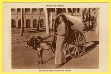 Old postcard INDIA Religious Mission JESUIT of the MADURÉ student BRAHME CATTLE TEAM