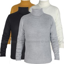 Pull Homme Col Roulé Slim F20