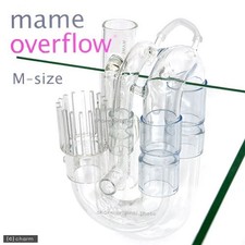 Mame Dezain Mame Overflow Aquarium Japan Import