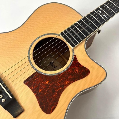 Guitare électrique acoustique