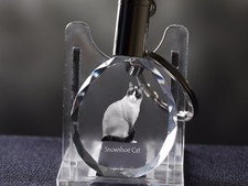 Raquette À Neige, Chat