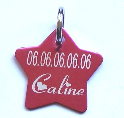 Médaille chien taille - médaille,