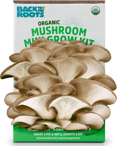 Organic mini mushroom - mini,