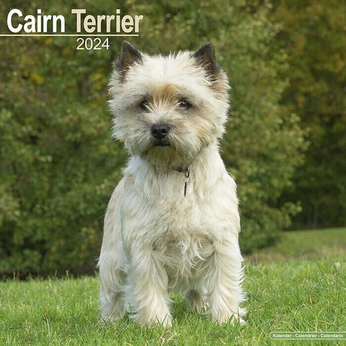 Calendrier 2024 cairn - -,