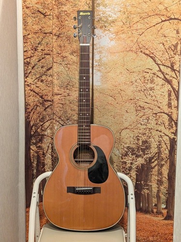 Guitare acoustique vintage