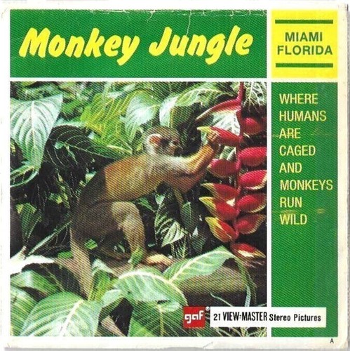 View master monkey - view,