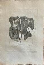 Mario Molteni Acquaforte