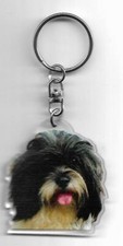 LHASSA APSO CHIEN PORTE CLES /