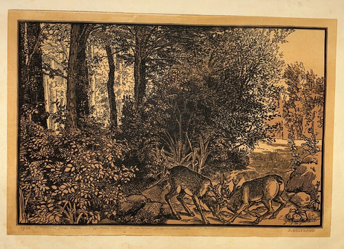 Jacques beltrand combat cerfs - jacques,