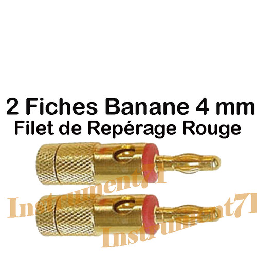 Fiches banane mâle - fiches,