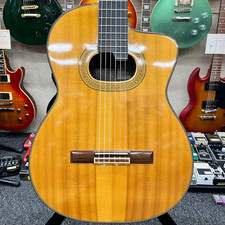 Guitare électrique acoustique