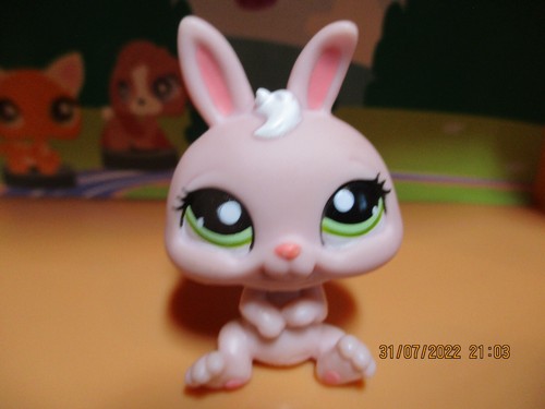 Petshop lapin nain 1094 - lapin, #1094