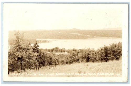 Looking south lake - south, green