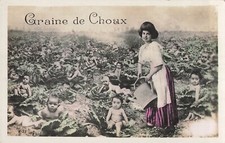 CP CABBAGE SEED WOMAN WATERING CAN FIELD BABIES - 56459