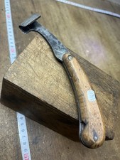 Rainette marquage Forestier