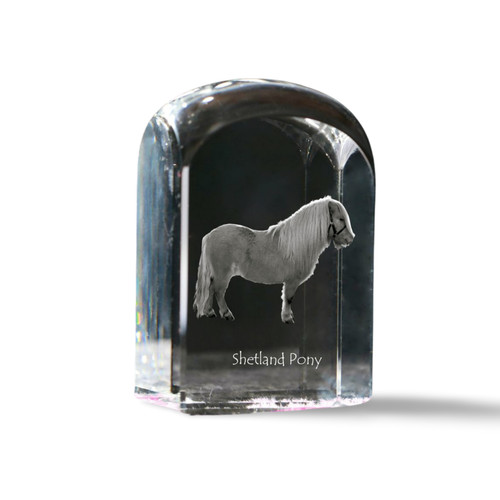 Poney shetland cristal - shetland, sceau
