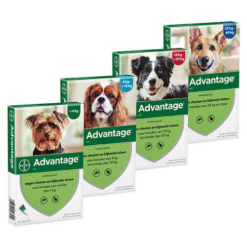 Advantage chien dog - chien,