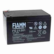 Roger - BATTERIE PLOMBE 12V 12