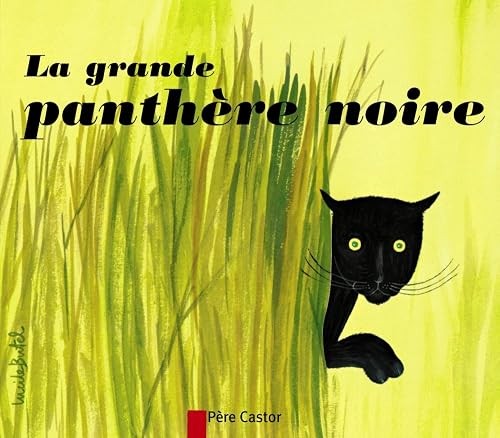 Grande panthère noire - la,