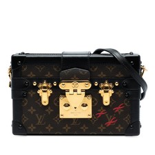 Louis Vuitton Monogram Petite
