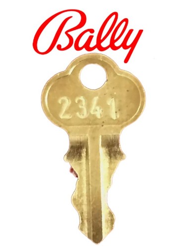 Slot machine reset key - slot,