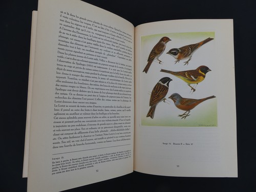 Artis les oiseaux - les,